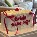 홍도축사 | [결혼 후기] 아싸의 결혼식 - 루이비스 웨딩홀 대전/치즈박스/포토부스/브라이덜샤워/상견례