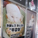 플랜트 노크