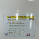 바다소풍펜션 | 울산애견동반펜션 강아지 추가금 없는 바다소풍애견펜션 ! (수영장있음)