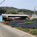 강동면사무소 이미지