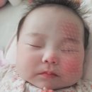 스테이 소예 이미지