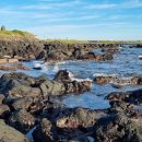 주식회사 제주마음렌트카 이미지