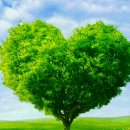 기쁨펜션 이미지