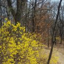 중랑캠핑숲 이미지