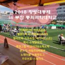 카우브로