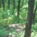 피나무골 소공원 이미지