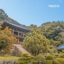 국립중앙박물관장, 꼭 가봐야할 문화 유산 이미지