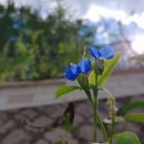 원효로경로당 이미지