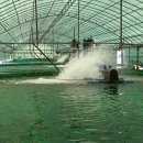 한국수산질병관리원 이미지