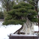 아트랜드 이미지