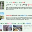 알프스 힐 하우스 이미지