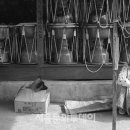 장터이야기 이미지