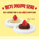 미크플로 이미지