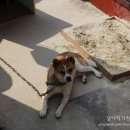 계룡길 벽돌가 이미지