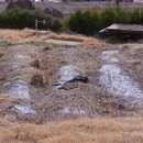 부동산강남공인중개사사무소 이미지