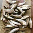 밤바다 2 이미지