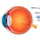 삼계성모안과의원 이미지