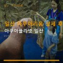 아쿠아플라넷(주) | 일산 아쿠아리움 상세 후기 아쿠아플라넷 공연도 놓치지 마세요