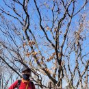 장성-08 Daum카페