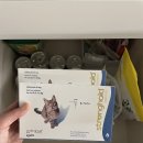 (주)스트롱홀드 | 펫버킷 구매 후기 ( 고양이 심장사상충 예방 / 스트롱홀드 )