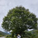 화원1리마을회관 이미지