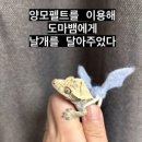 목감아트하우스27 이미지