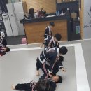 국술합기도무림체육관