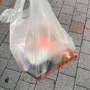 노모어피자먹골점 | 중랑구노모어피자 먹골점, 콰트로 머쉬룸 불고기 피자 솔직후기