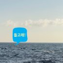 제주 서귀포 벨루아 이미지