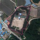 꿀벌랜드 이미지