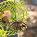 혁신합기도키즈짐 | 토이빌리지 대구혁신점｜키즈카페+실내동물원+아쿠아리움까지 한 번에 체험 가능!