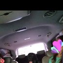 리버풀동물병원 이미지