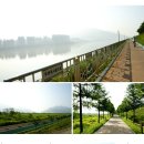 아줌마 홀로자전거여행[남한강 자전거길(양평-두물머리, 세미원 연꽃의 자태)]70km 이미지