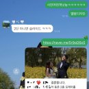 모바일청첩장 추천 | 셀프로 만든 메이크디어 후기와 제작 시기 팁