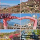 가남정보화마을 화장실 | 2025 광양 매화 섬진마을 청매실농원 봄꽃 여행