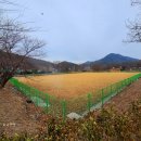 신전권역 야영장 이미지