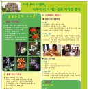 들꽃풍경 이미지