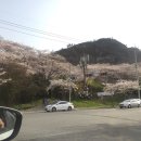 원조목포왕꽈배기