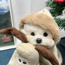 세정문구 이미지