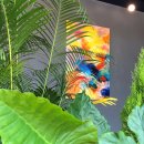 팔구사부동산공인중개사사무소 이미지