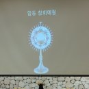 2022년 서서울지구 포르치운쿨라 행사(8.2.화) 이미지