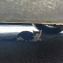 한솔자동차정비공업사 이미지