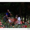 이야기가 있는 풍경 이미지