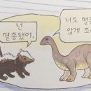 비타민랜드 이미지