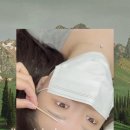 다르수