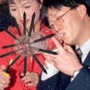 마라야보일절매운오리 | 240904 생존신고+그간 그린거+사담