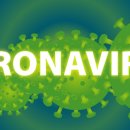 대구황금초등학교 이미지