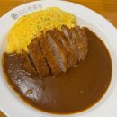 세븐일레븐 건대스타시티2호점 | 건대 스타시티몰 혼밥 맛집 코코이찌방야 메뉴 추천 솔직후기