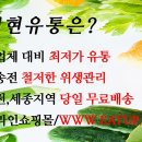 기현유통
