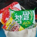 광양매화마을과 구례산수유마을의 전라도 당일치기코스 여행기